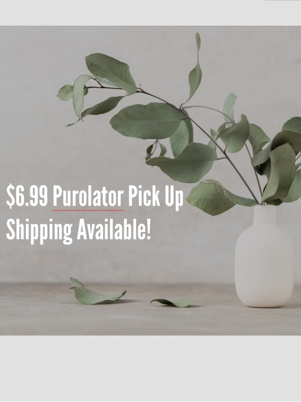 $6.99 Discounted Purolator shipping available!